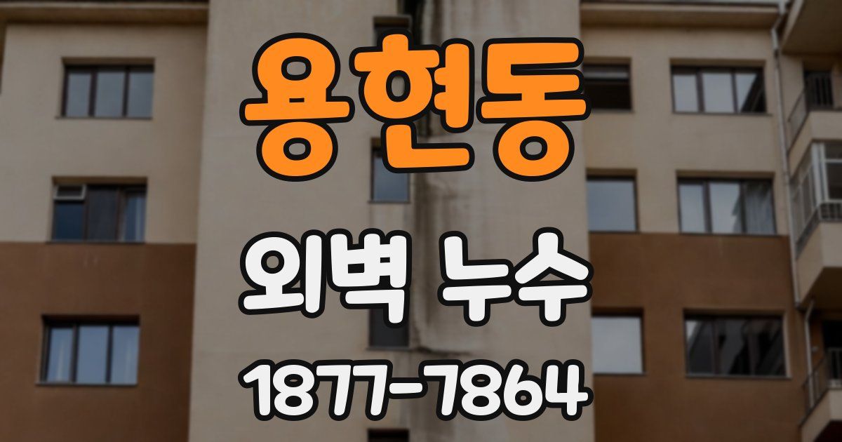 용현동 외벽 누수