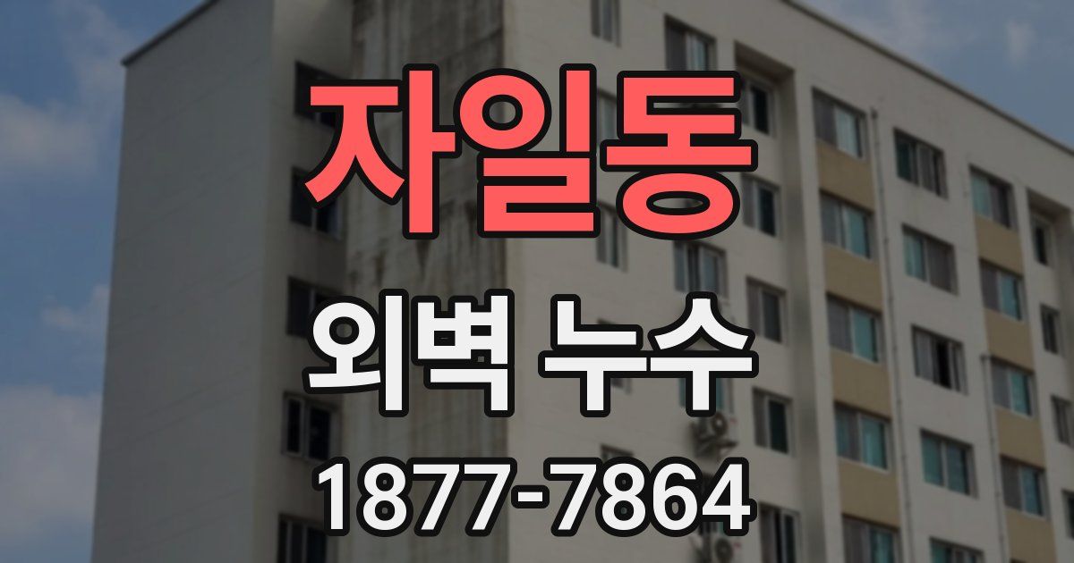 자일동 외벽 누수