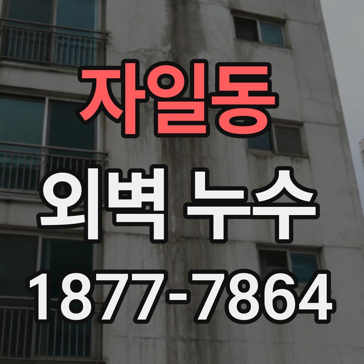 자일동 외벽 누수