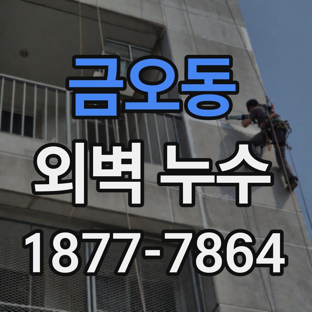 금오동 외벽 누수