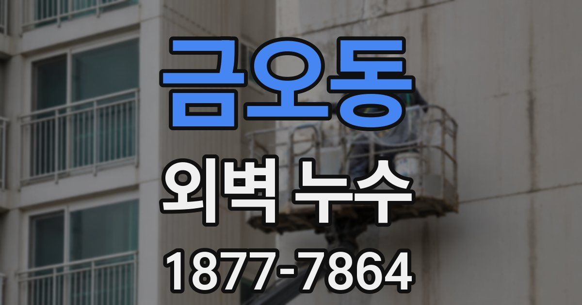 금오동 외벽 누수