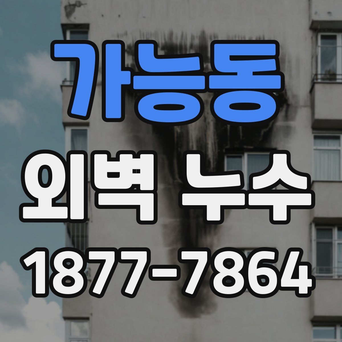가능동 외벽 누수