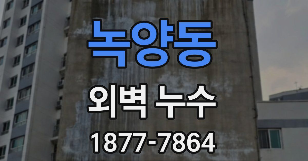 녹양동 외벽 누수