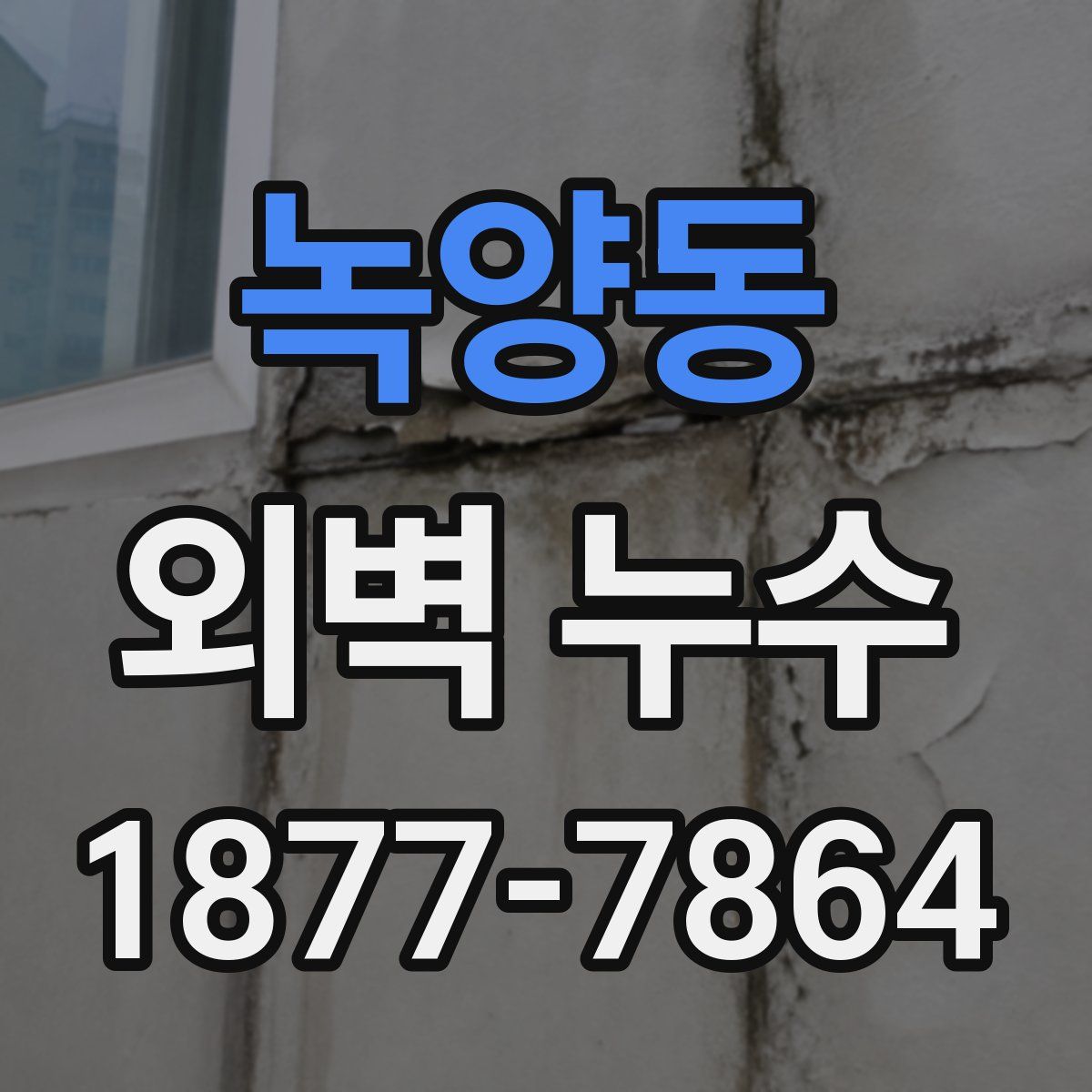 녹양동 외벽 누수