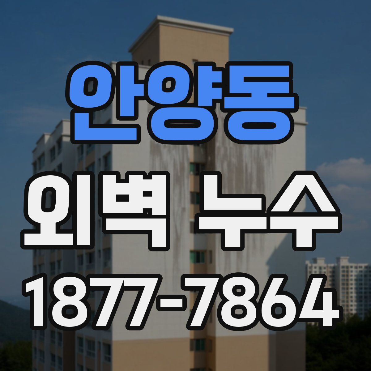 안양동 외벽 누수