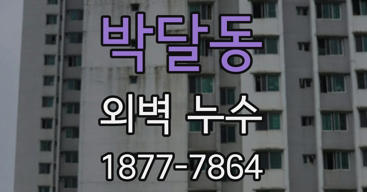 박달동 외벽 누수