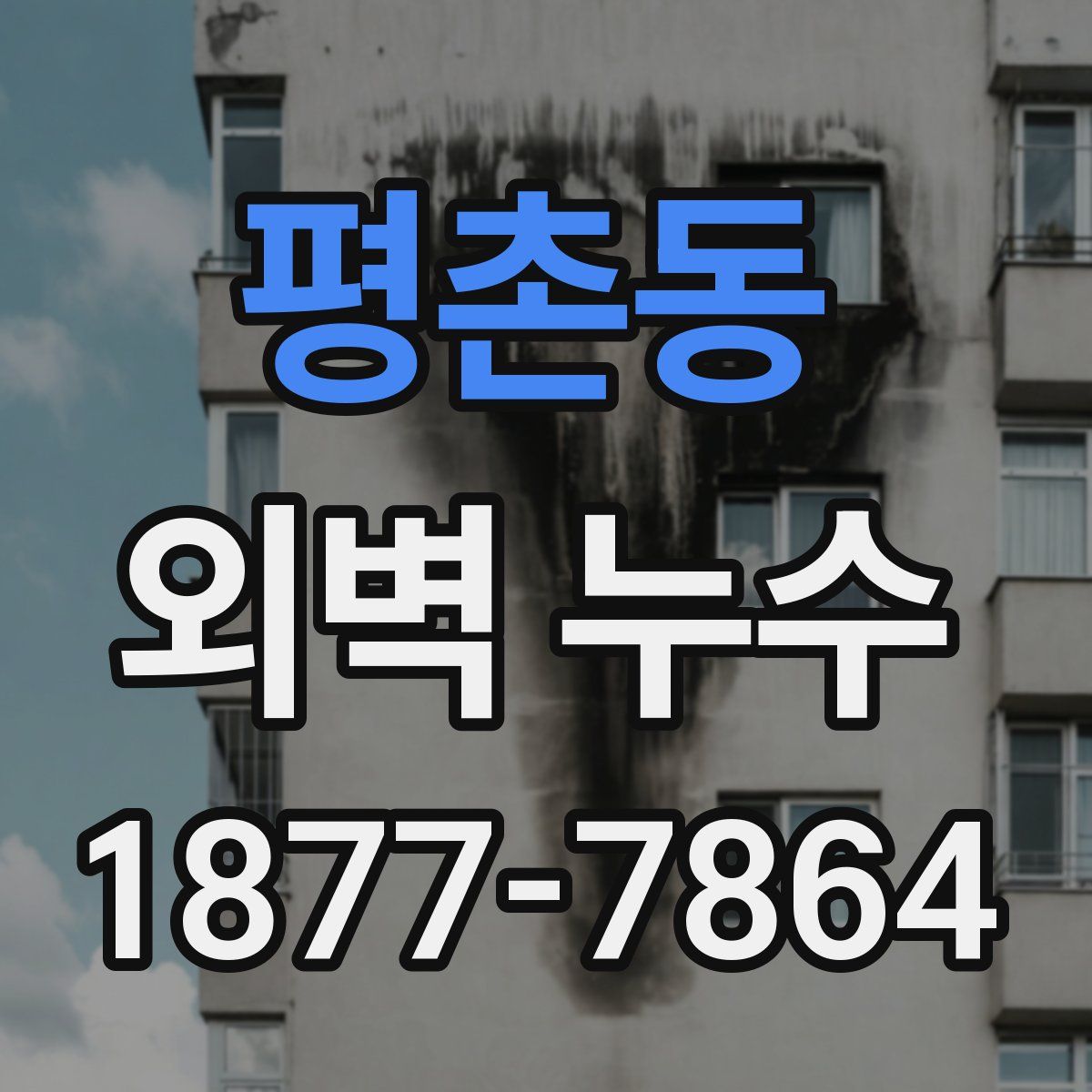 평촌동 외벽 누수