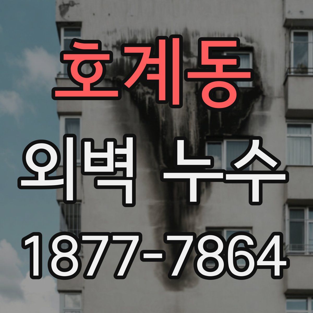 호계동 외벽 누수