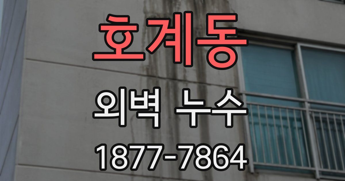호계동 외벽 누수