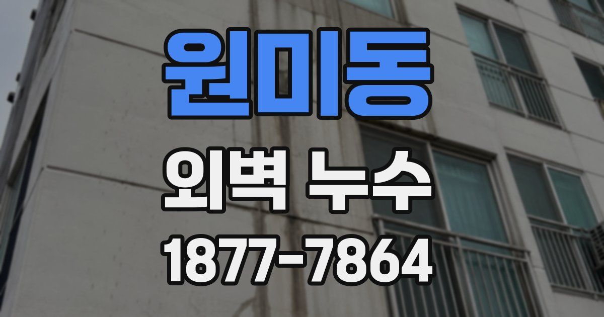 원미동 외벽 누수
