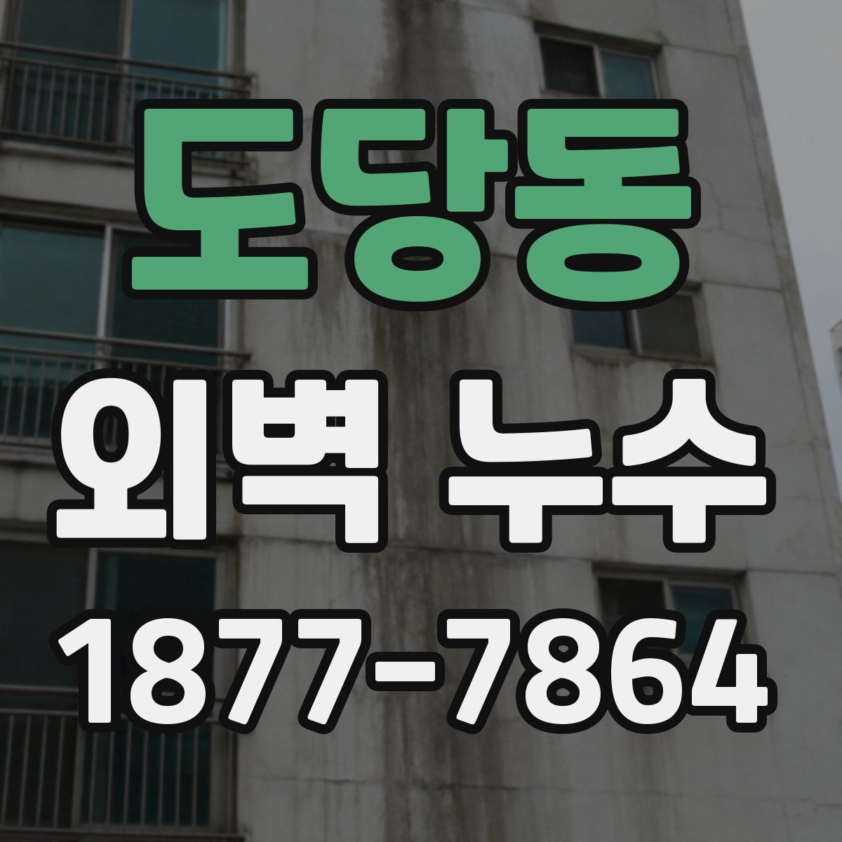 도당동 외벽 누수