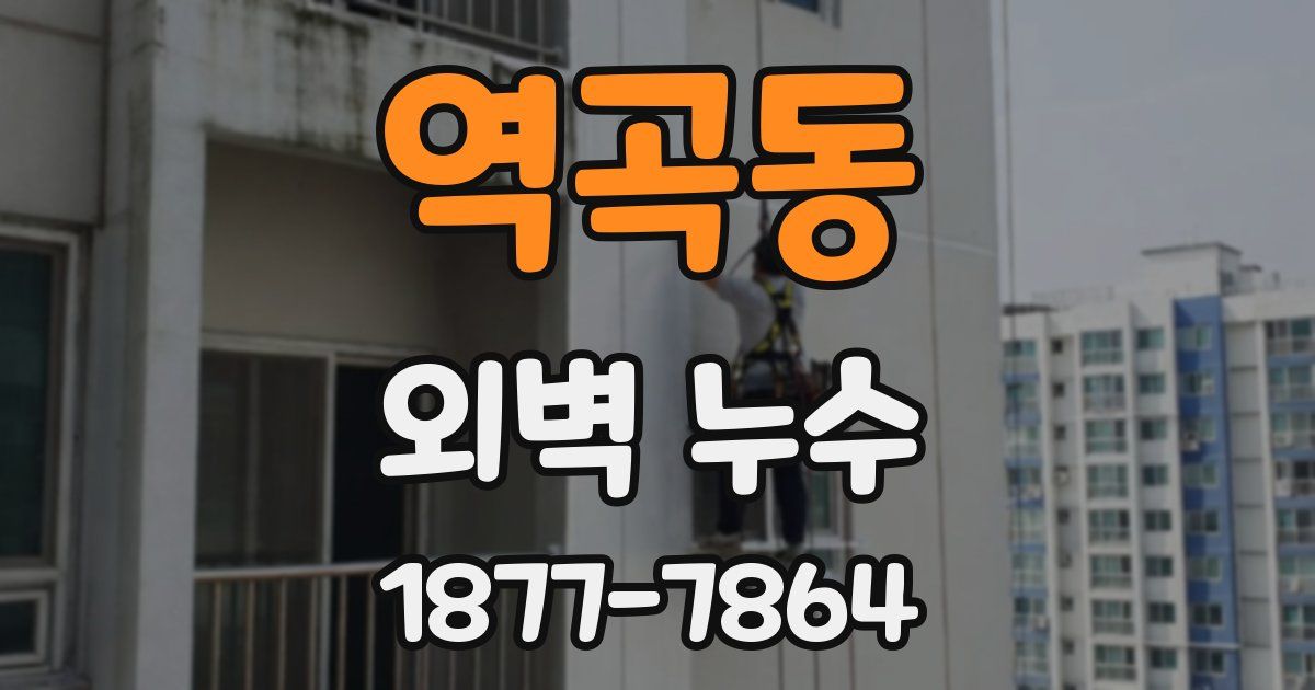 역곡동 외벽 누수
