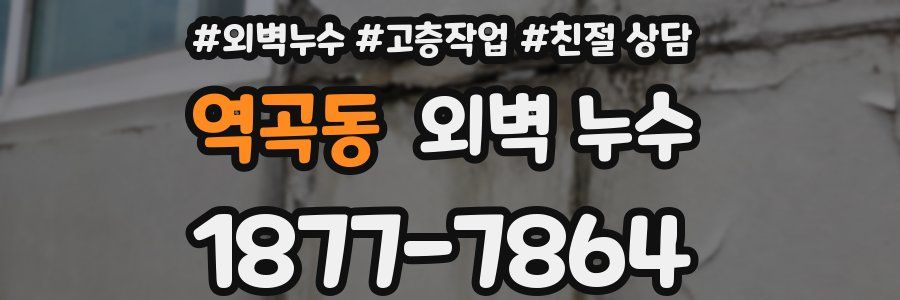 역곡동 외벽 누수