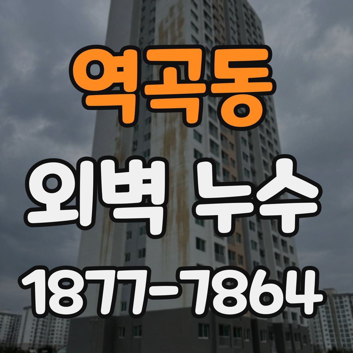 역곡동 외벽 누수