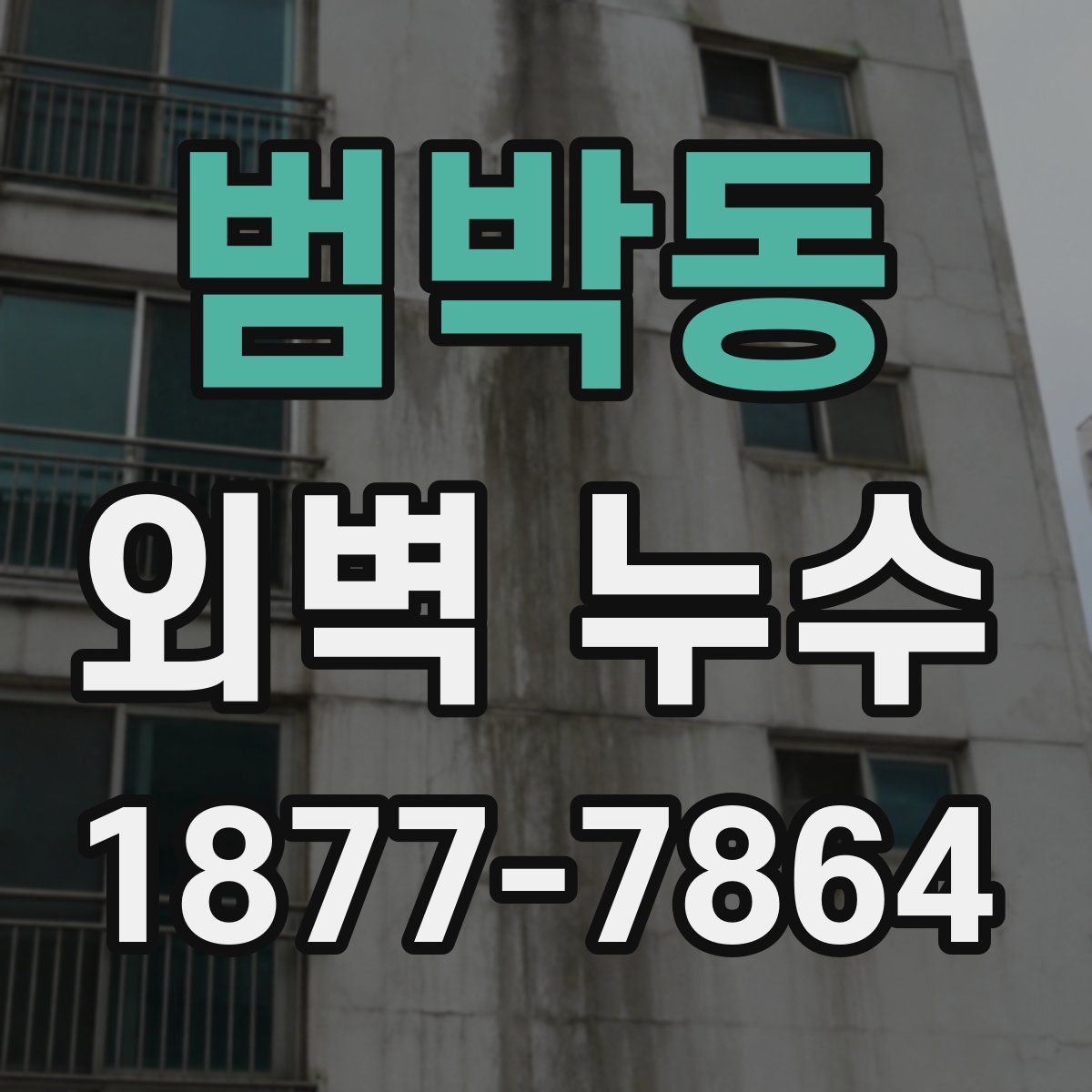 범박동 외벽 누수