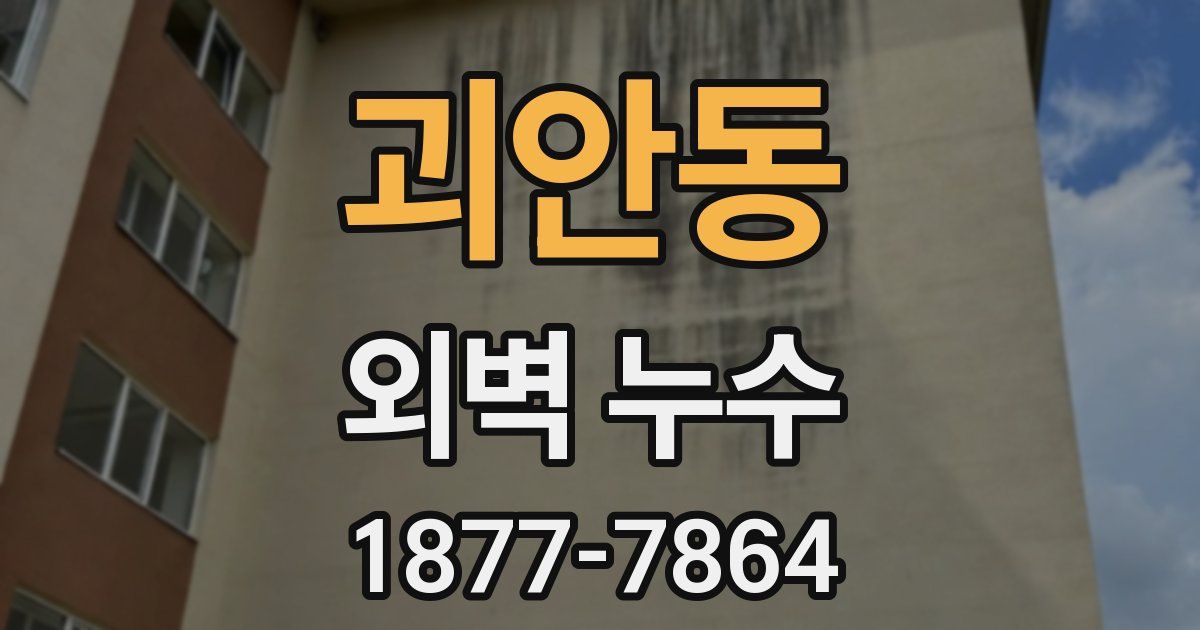 괴안동 외벽 누수