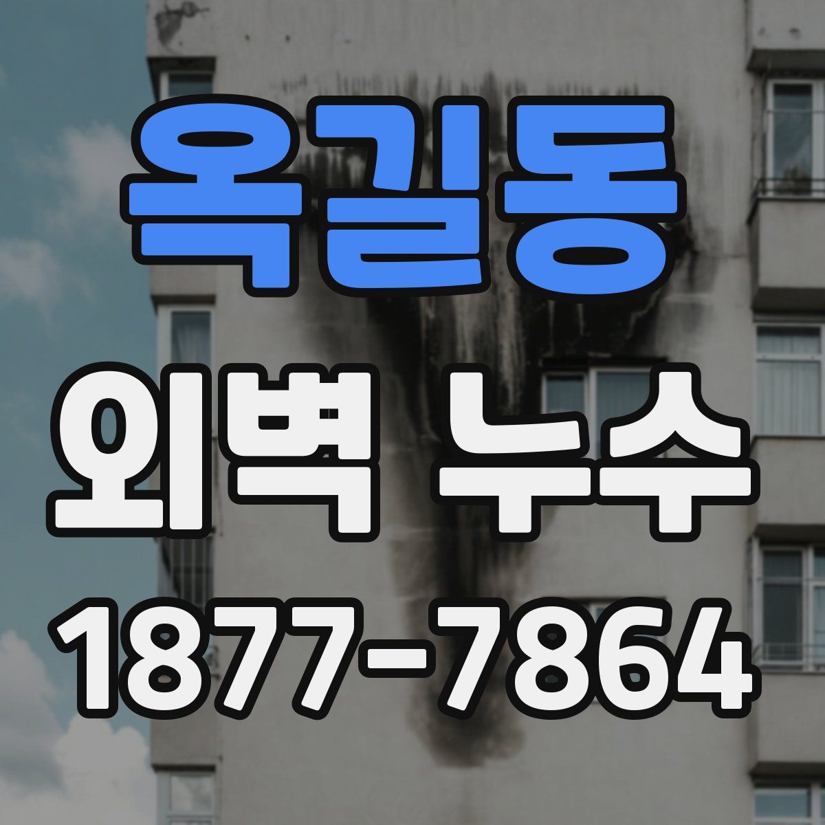 옥길동 외벽 누수