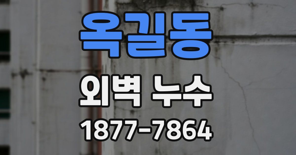 옥길동 외벽 누수