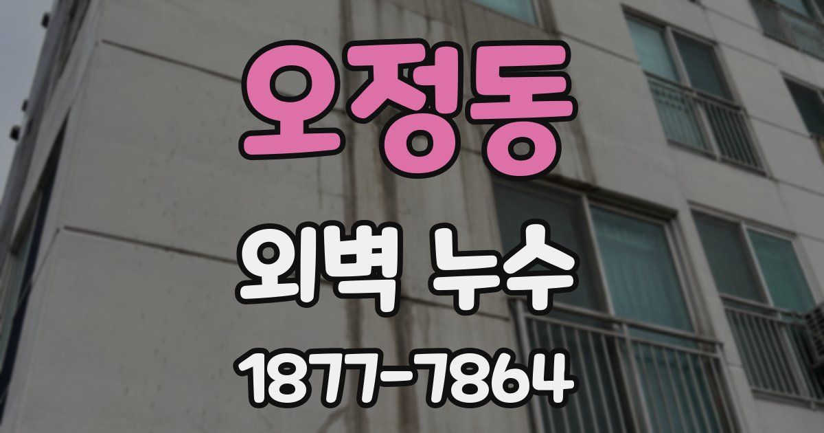 오정동 외벽 누수