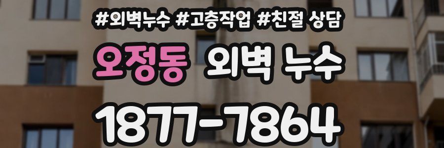 오정동 외벽 누수