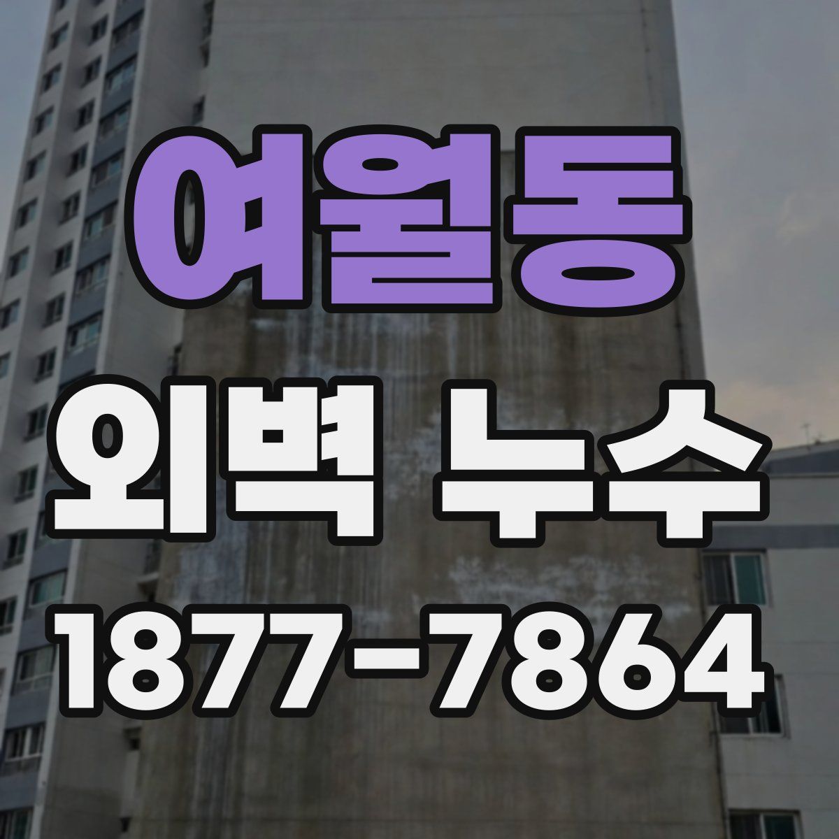 여월동 외벽 누수