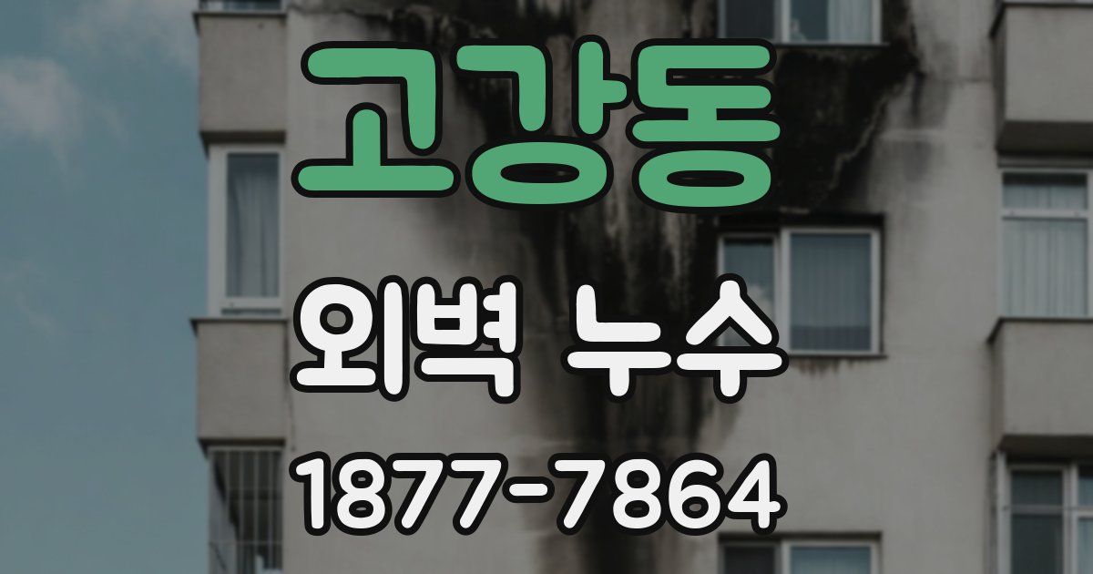 고강동 외벽 누수