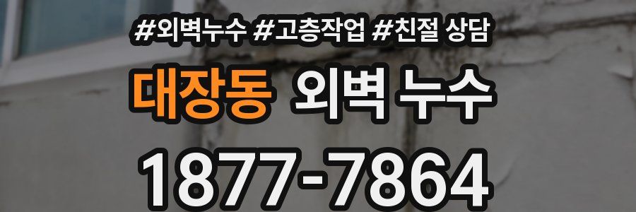 대장동 외벽 누수