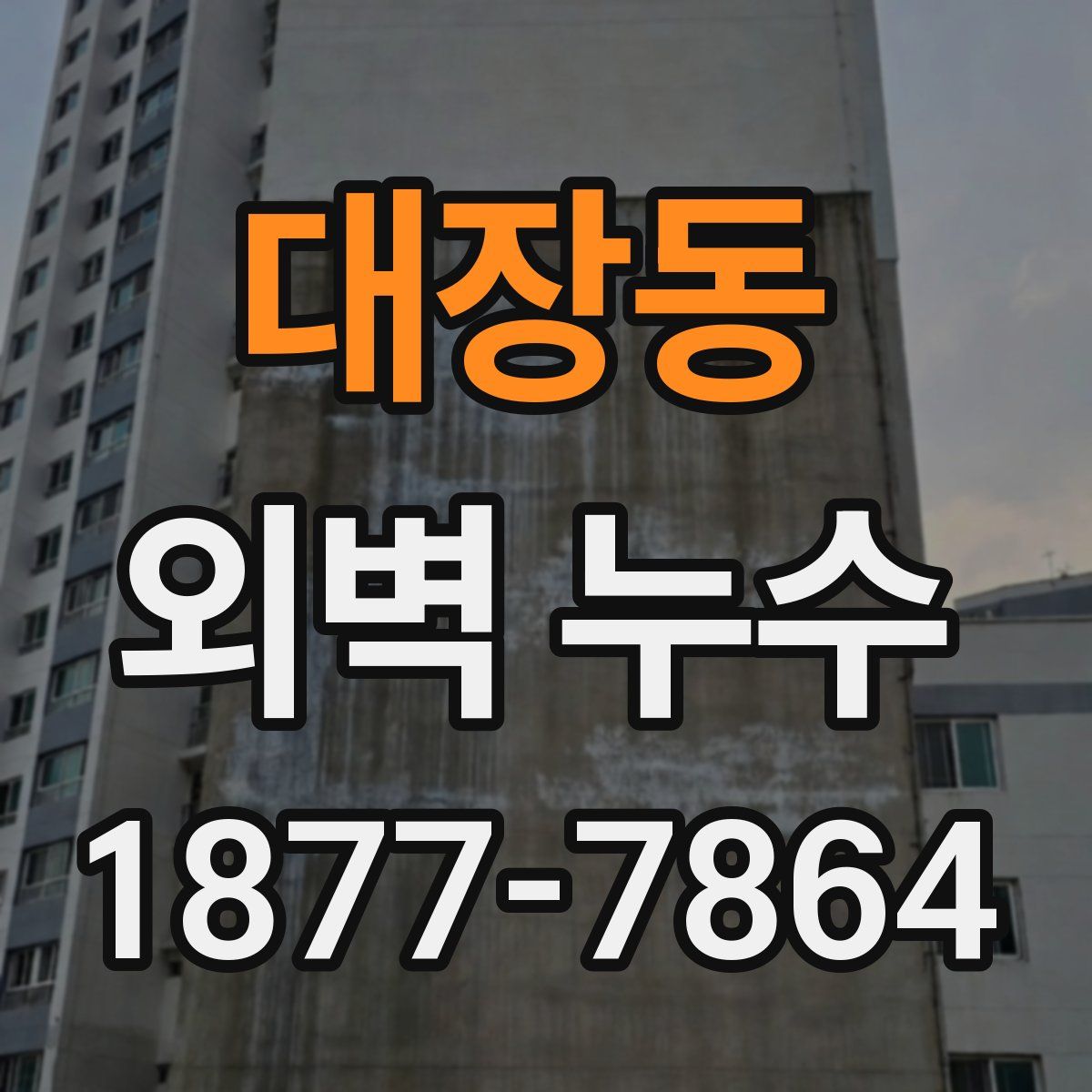 대장동 외벽 누수