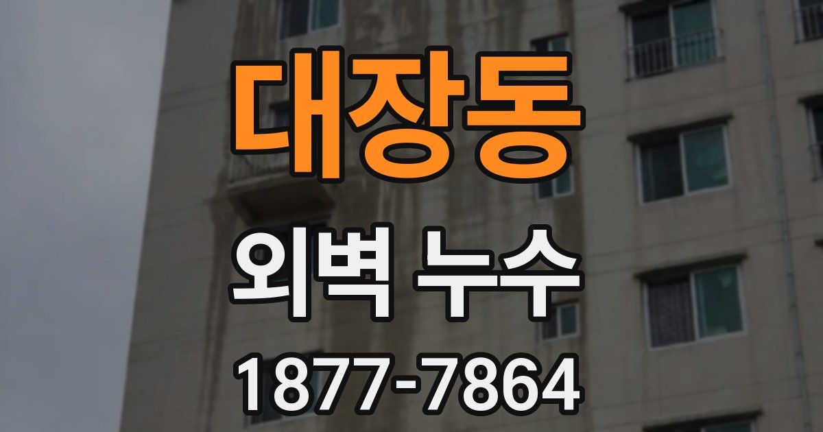 대장동 외벽 누수
