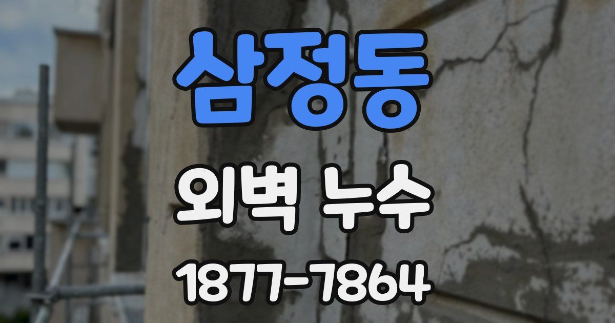 삼정동 외벽 누수