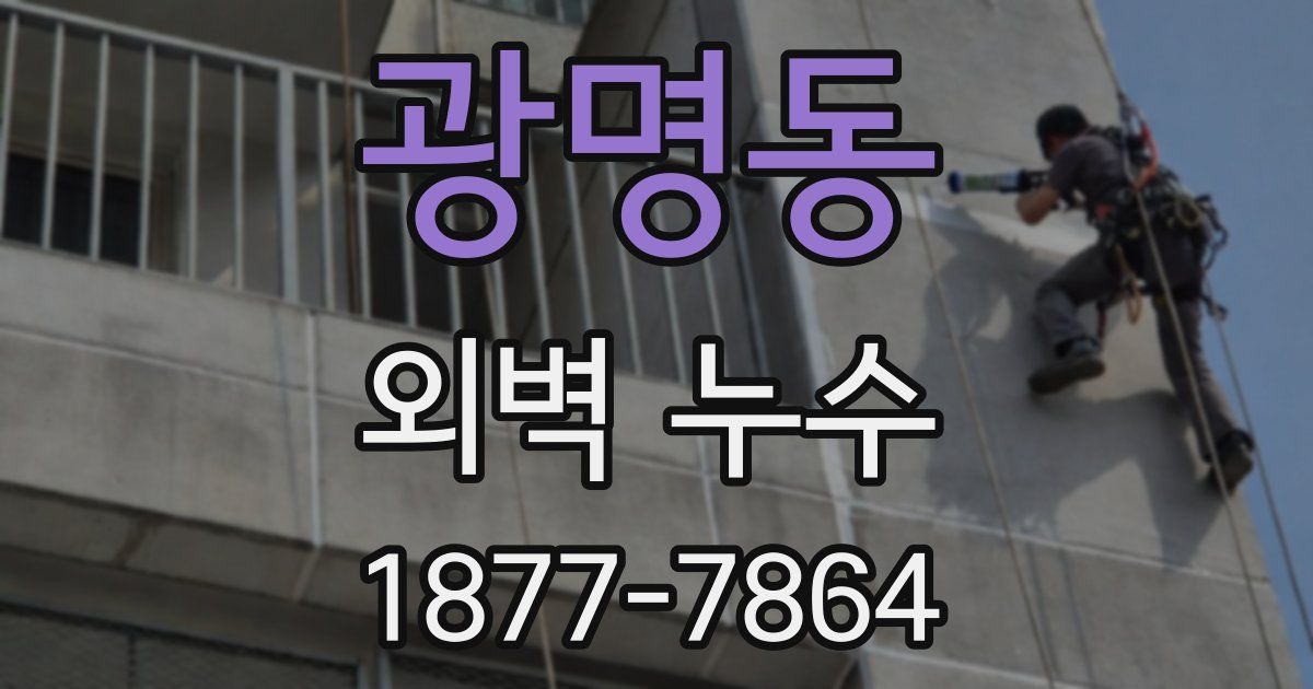 광명동 외벽 누수