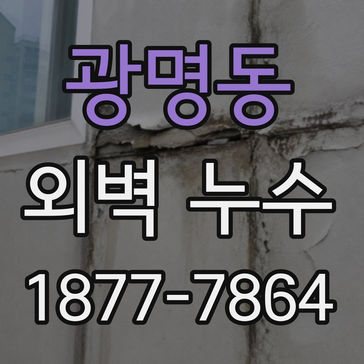 광명동 외벽 누수