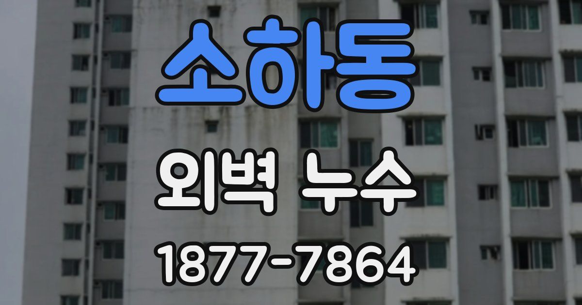 소하동 외벽 누수