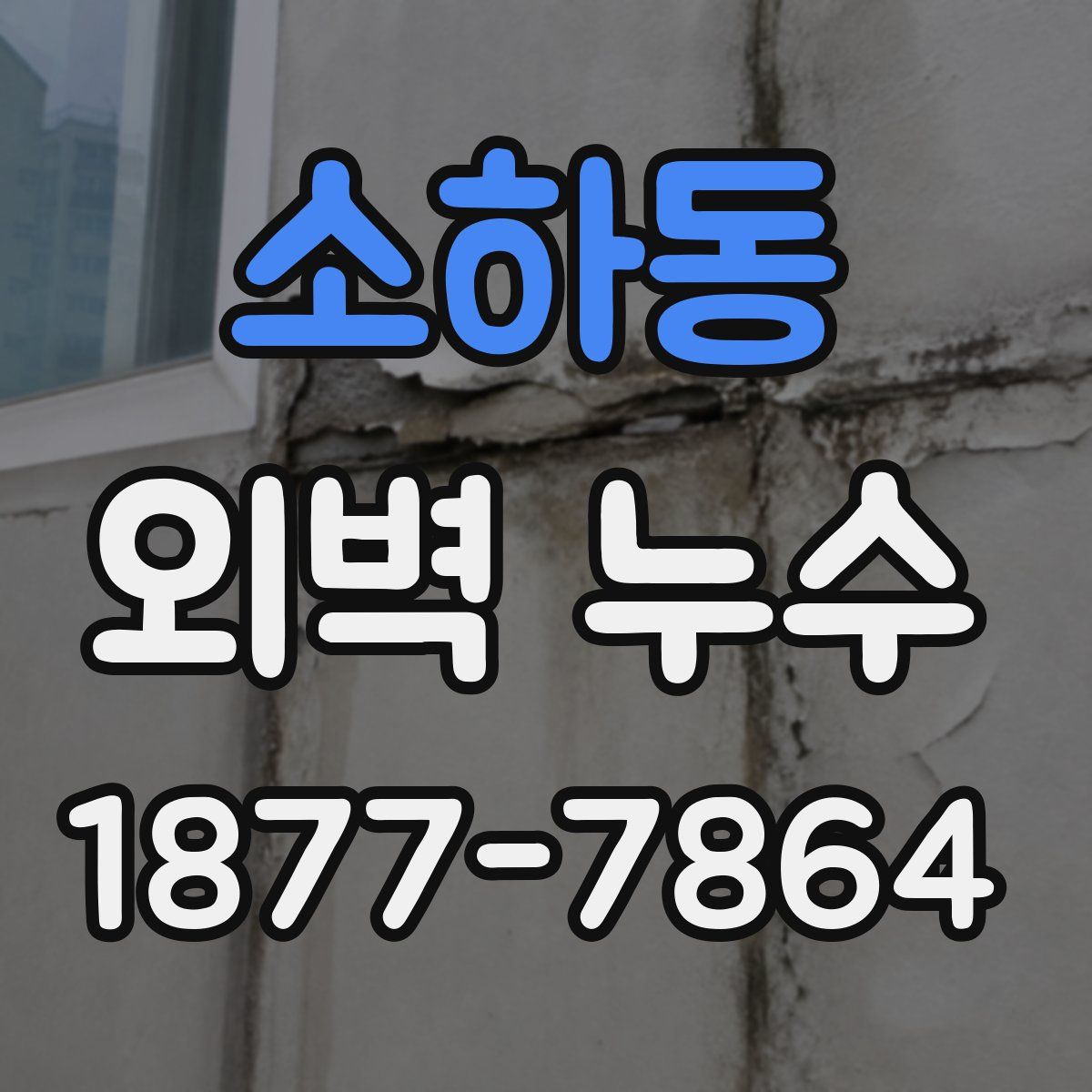 소하동 외벽 누수