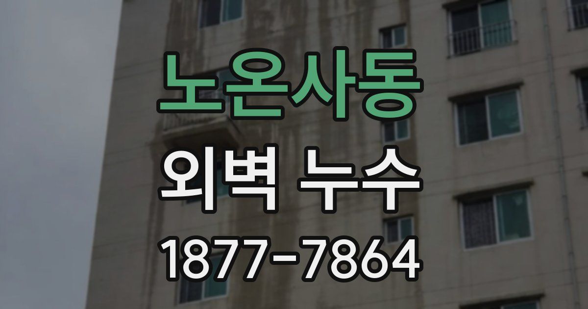 노온사동 외벽 누수