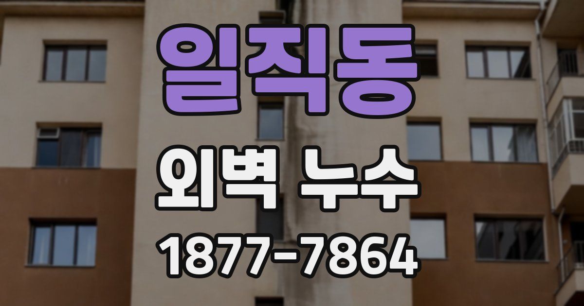 일직동 외벽 누수