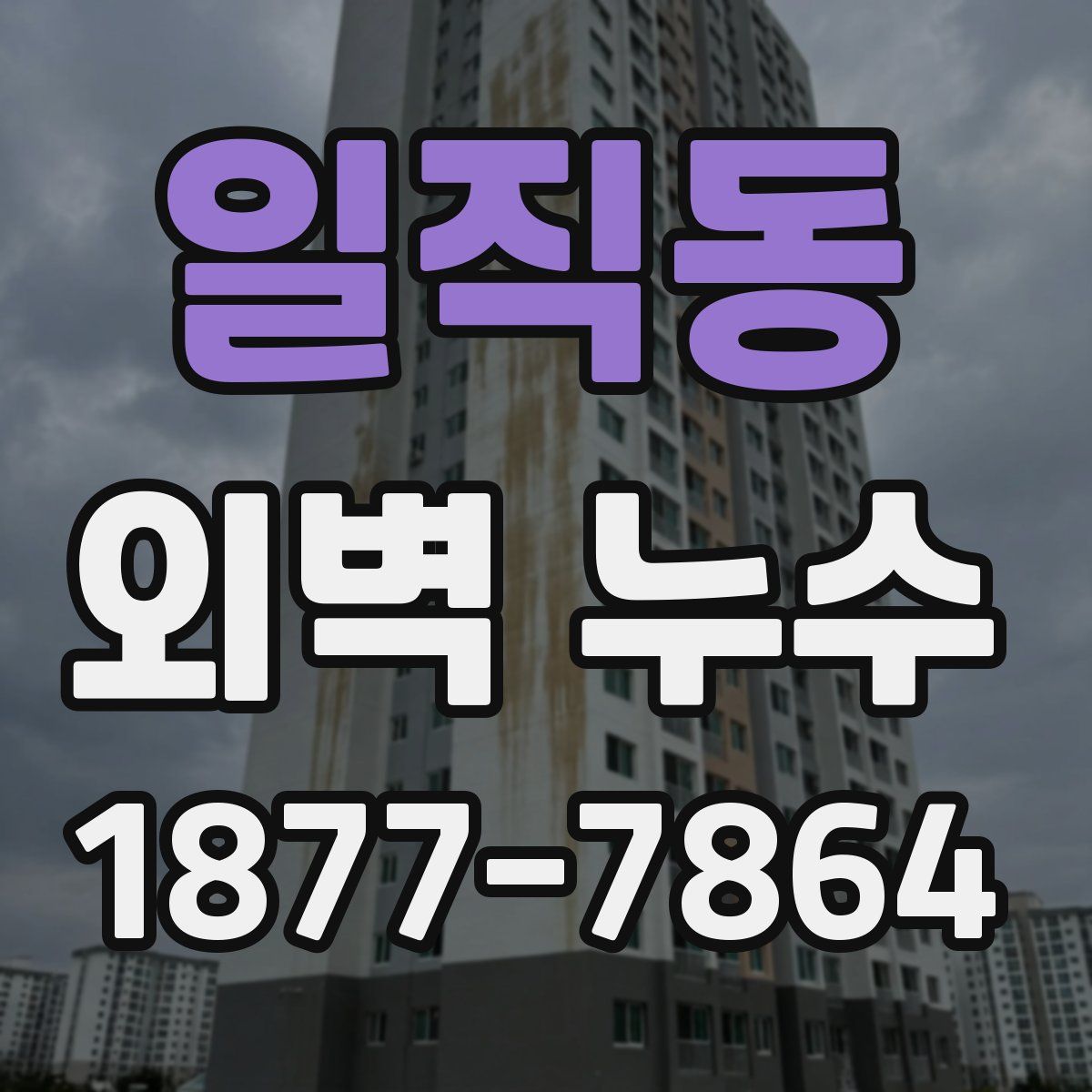 일직동 외벽 누수