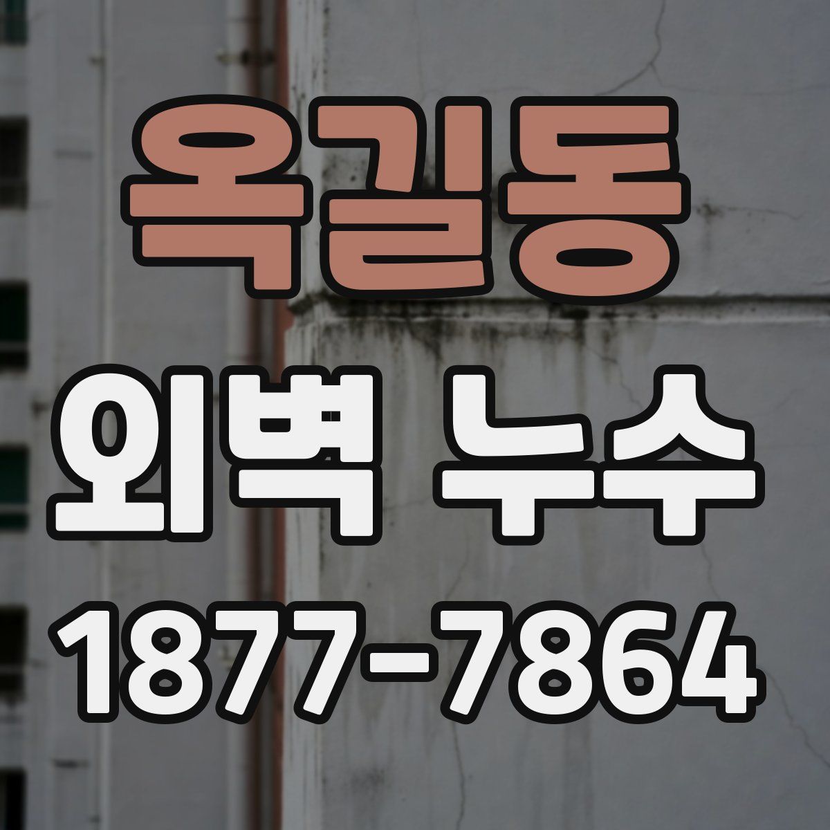 옥길동 외벽 누수