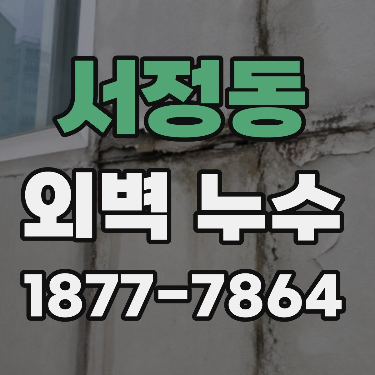 서정동 외벽 누수