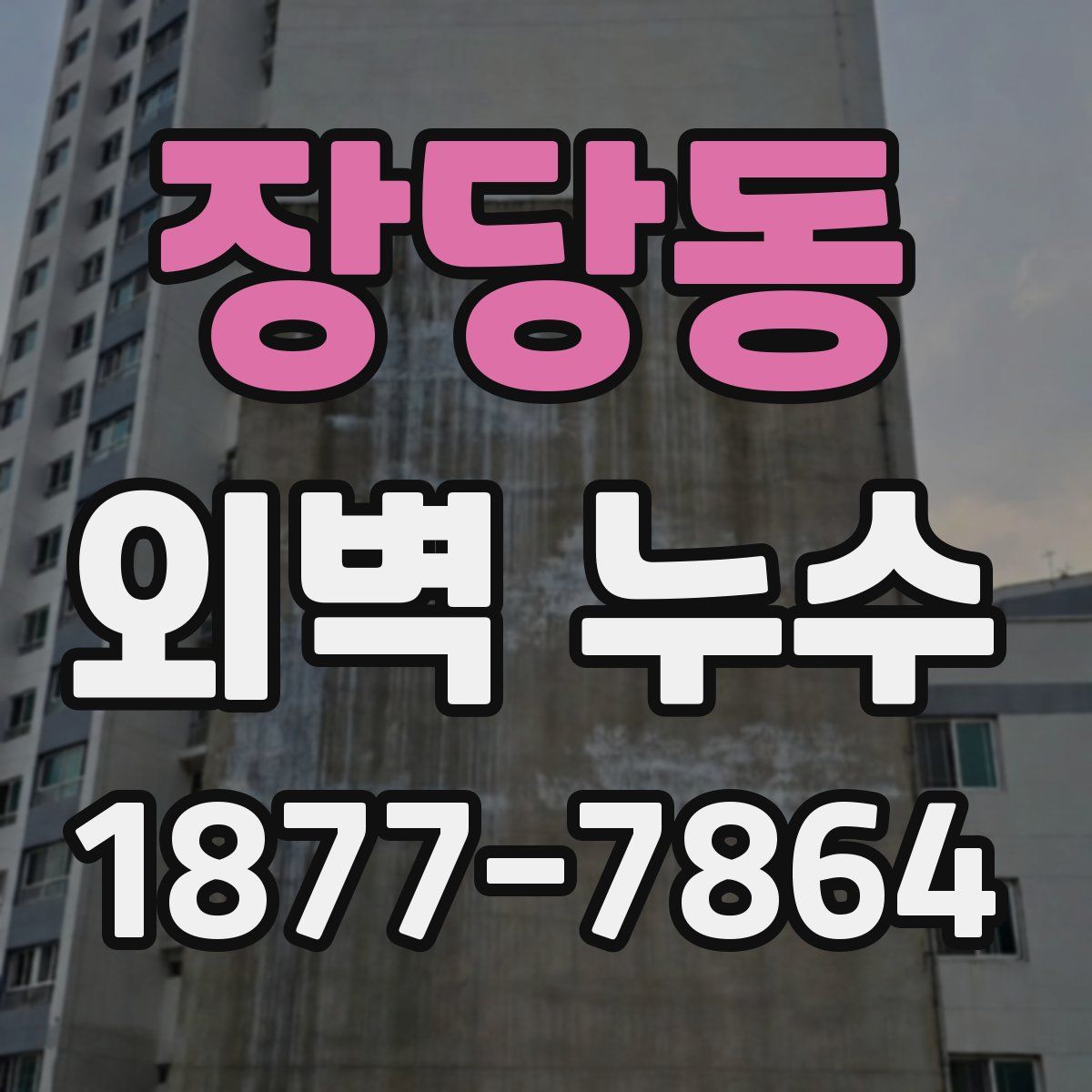 장당동 외벽 누수