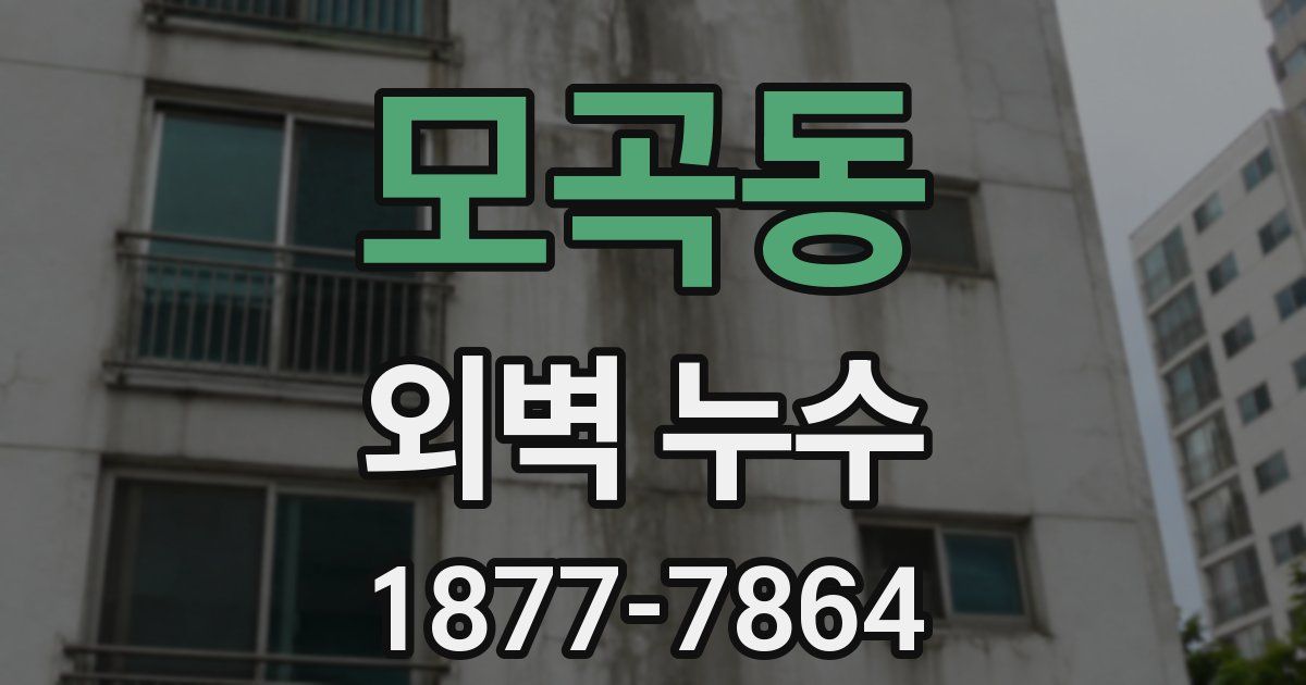 모곡동 외벽 누수