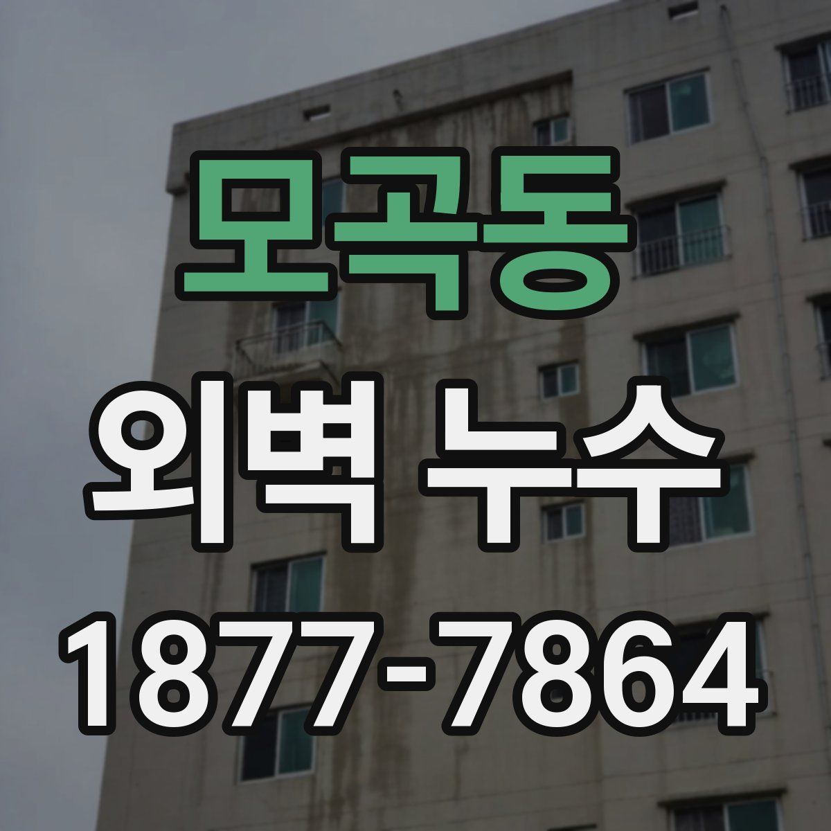 모곡동 외벽 누수