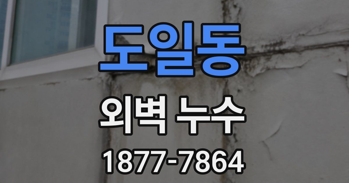 도일동 외벽 누수