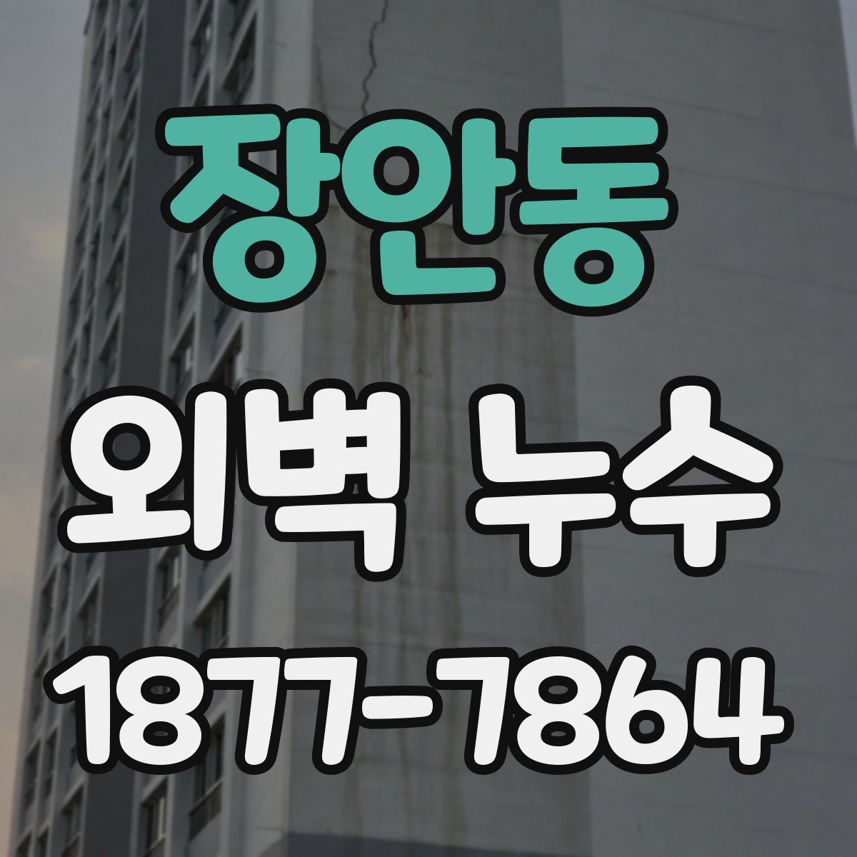 장안동 외벽 누수