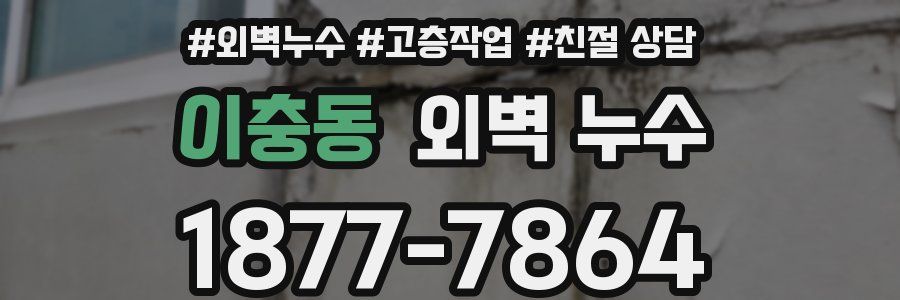 이충동 외벽 누수