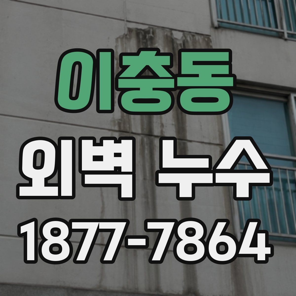 이충동 외벽 누수