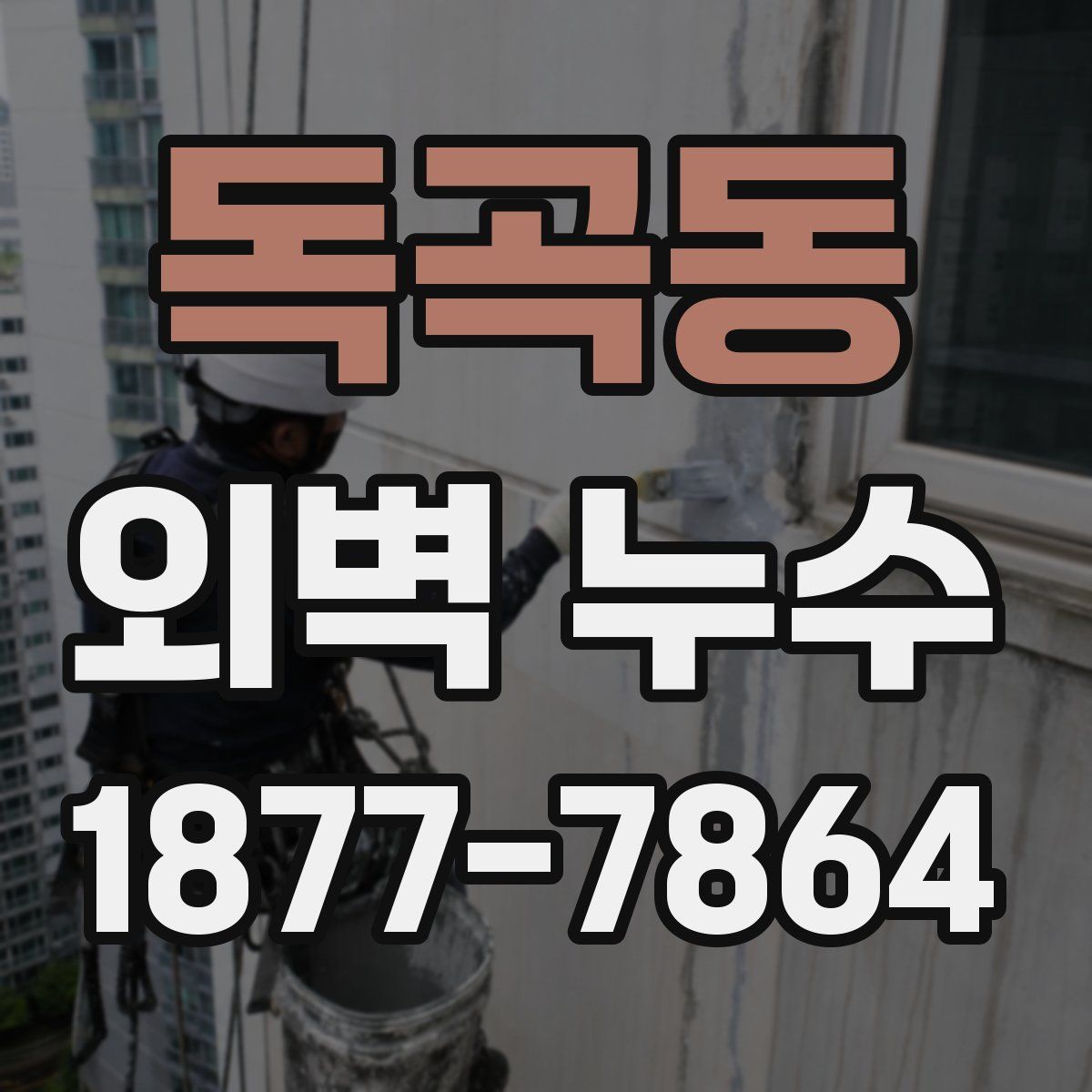 독곡동 외벽 누수