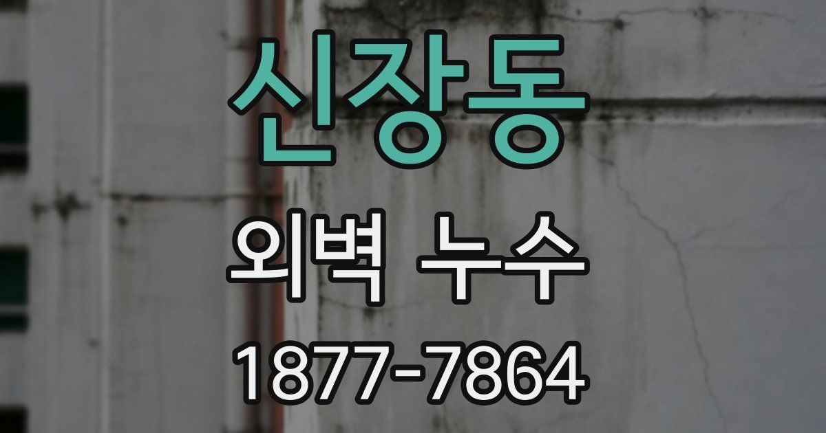 신장동 외벽 누수
