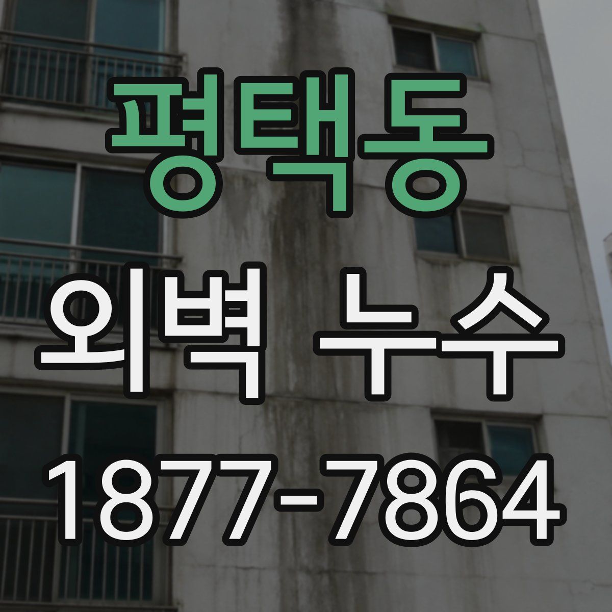 평택동 외벽 누수