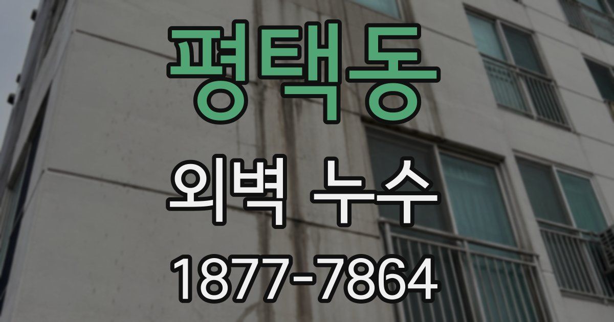 평택동 외벽 누수